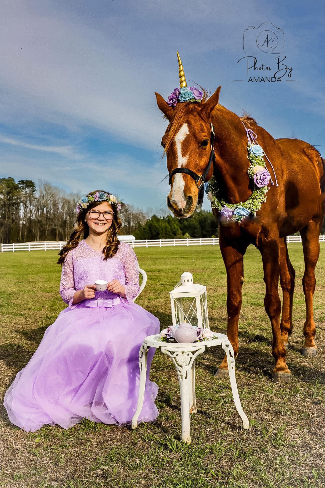 Girl in a lavender gown having tea beside a unicorn-styled horse at Parkton Place
