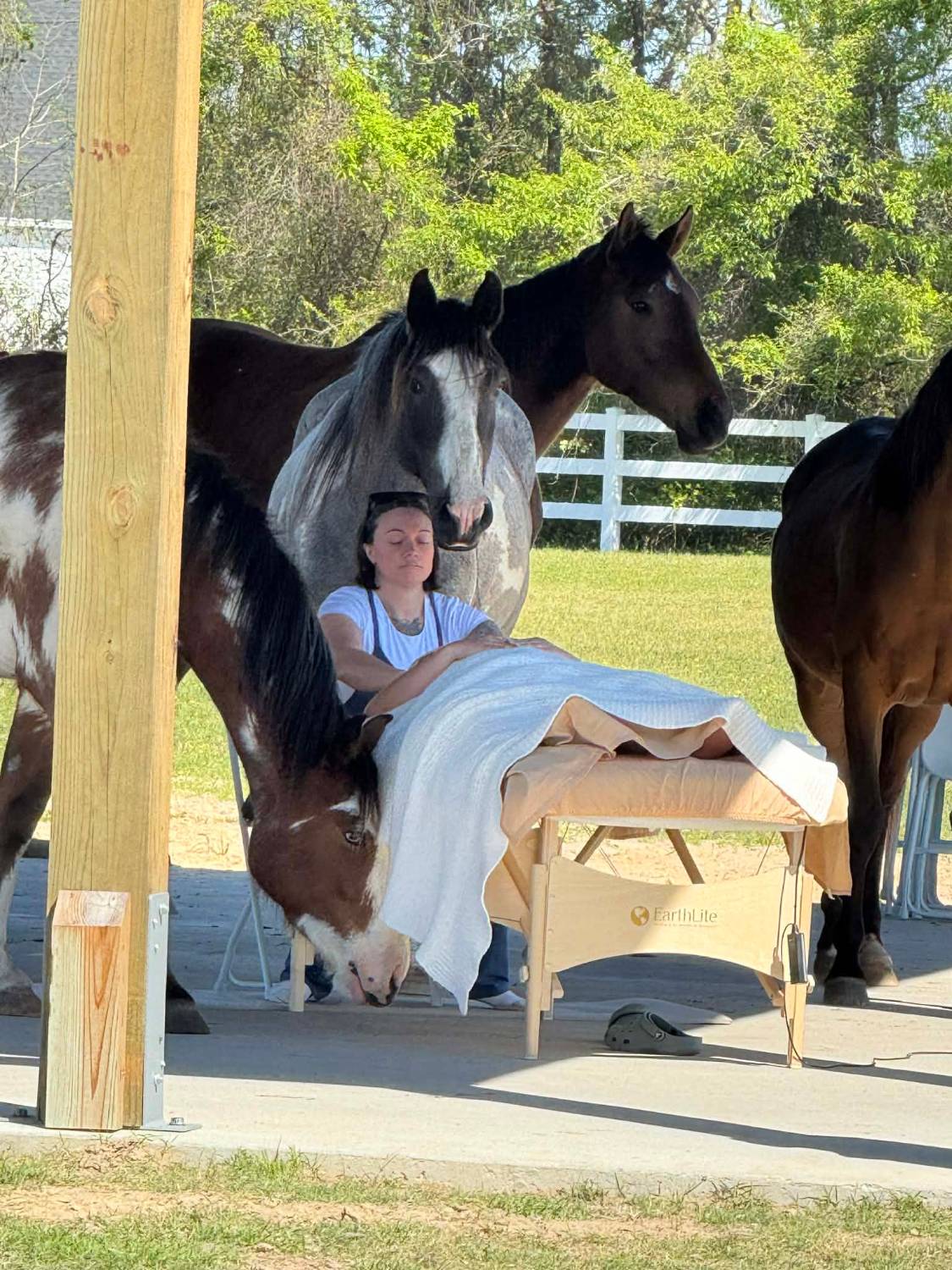 Outdoor massage under the Parkton Place pavilion with horses gathered around the table