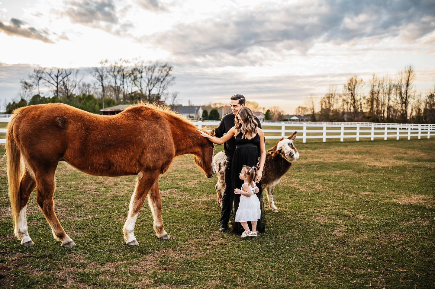 Family with horses in the pasture at Parkton Place