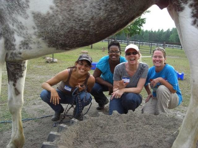 Group session with a horse at Hope-thru-Horses
